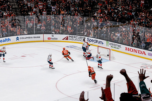 100426_ANAHEIM_DUCKS_RMR19802