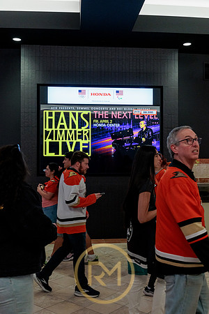 100426_ANAHEIM_DUCKS_RMR12192
