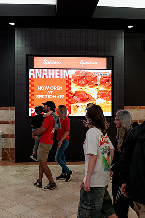 100426_ANAHEIM_DUCKS_RMR12707
