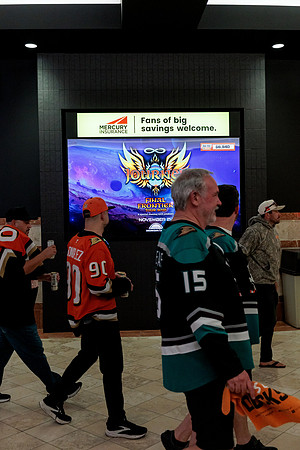 100426_ANAHEIM_DUCKS_RMR14815
