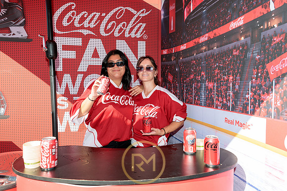 100426_ANAHEIM_DUCKS_RMR11341