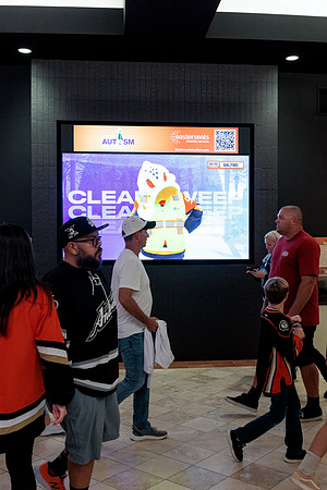 100426_ANAHEIM_DUCKS_RMR14253