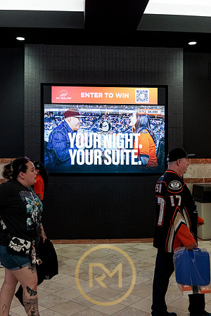 100426_ANAHEIM_DUCKS_RMR12217