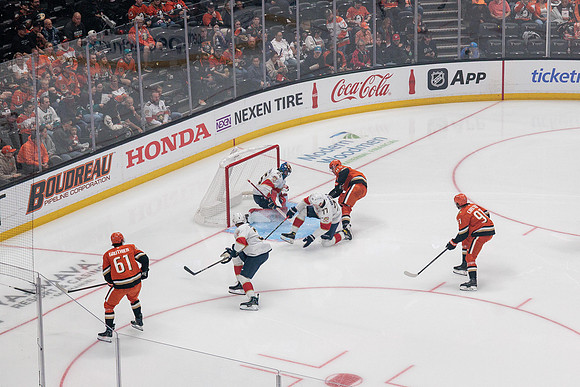 100426_ANAHEIM_DUCKS_RMR10909