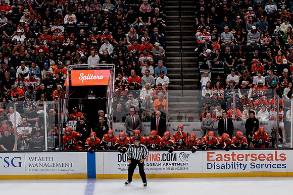 100426_ANAHEIM_DUCKS_RMR18808