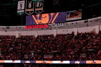 100426_ANAHEIM_DUCKS_RMR17790