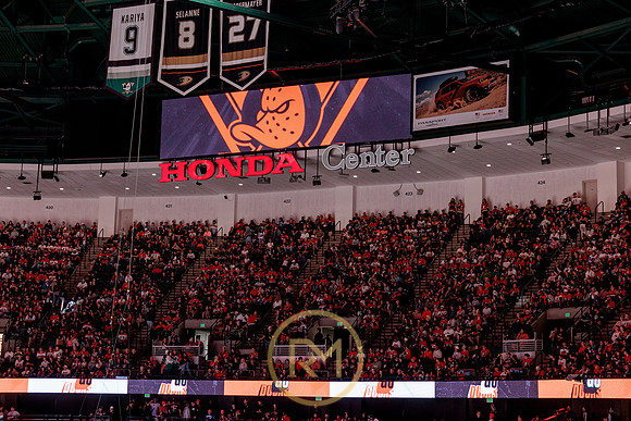 100426_ANAHEIM_DUCKS_RMR17790