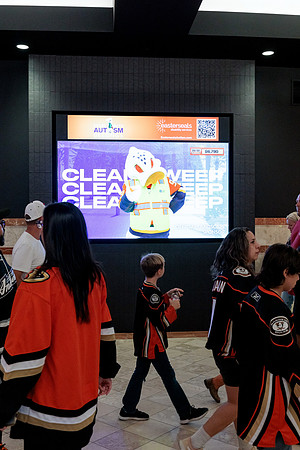 100426_ANAHEIM_DUCKS_RMR14231