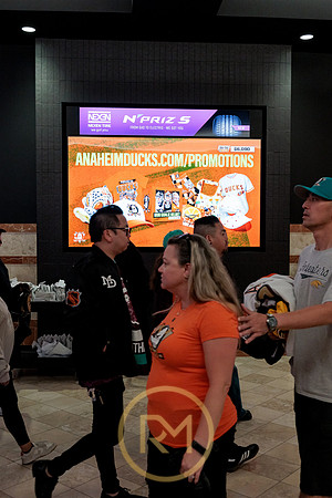 100426_ANAHEIM_DUCKS_RMR11892
