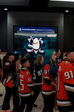 100426_ANAHEIM_DUCKS_RMR13221