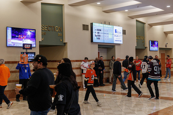 031125_ANAHEIM_DUCKS_0781