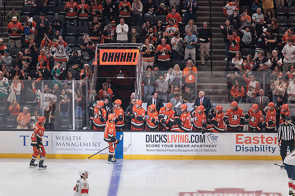 100426_ANAHEIM_DUCKS_RMR11108
