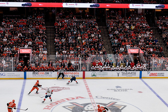 100426_ANAHEIM_DUCKS_RMR18848