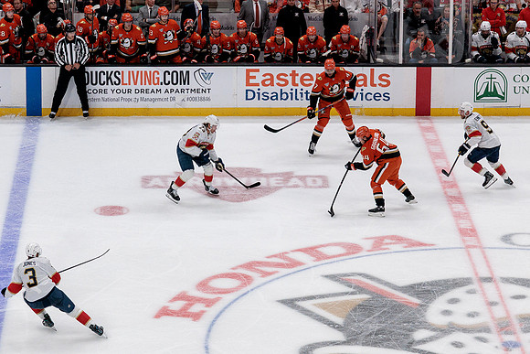100426_ANAHEIM_DUCKS_RMR12834