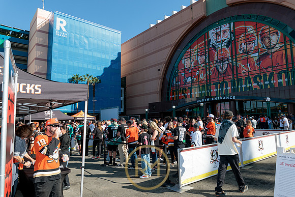 100426_ANAHEIM_DUCKS_RMR11358