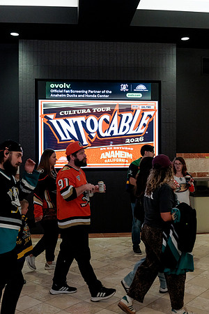 100426_ANAHEIM_DUCKS_RMR14509