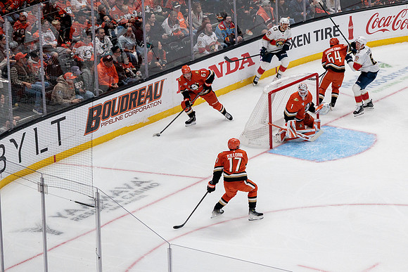 100426_ANAHEIM_DUCKS_RMR18346