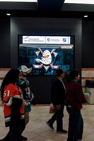 100426_ANAHEIM_DUCKS_RMR13298