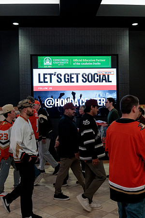 100426_ANAHEIM_DUCKS_RMR13433