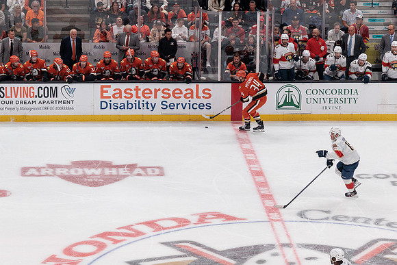 100426_ANAHEIM_DUCKS_RMR11458A