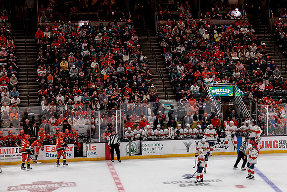 100426_ANAHEIM_DUCKS_RMR19495