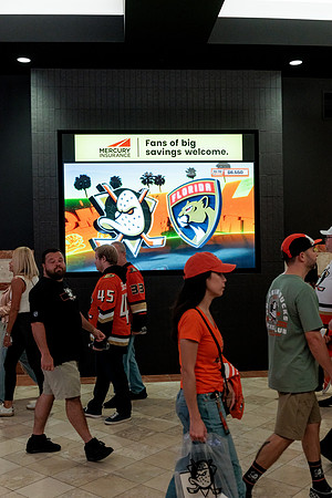 100426_ANAHEIM_DUCKS_RMR13125