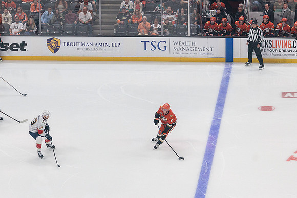 100426_ANAHEIM_DUCKS_RMR10933