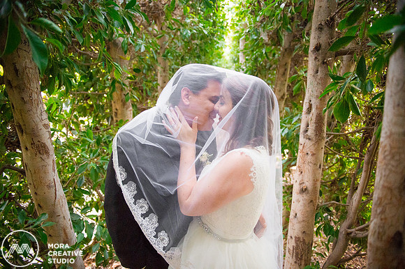 WEDDING_111415_01131