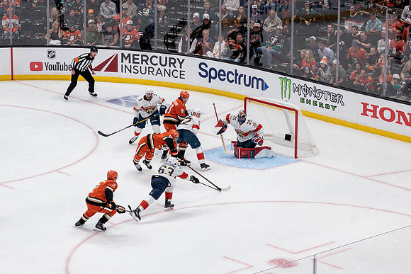 100426_ANAHEIM_DUCKS_RMR19064
