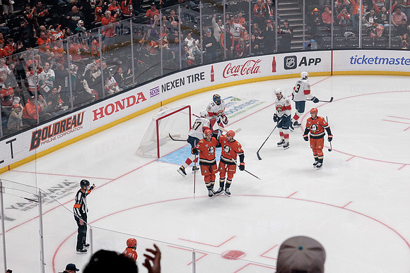 100426_ANAHEIM_DUCKS_RMR11017