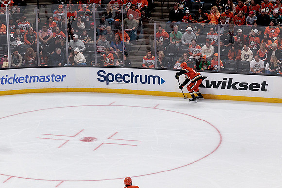 100426_ANAHEIM_DUCKS_RMR12501
