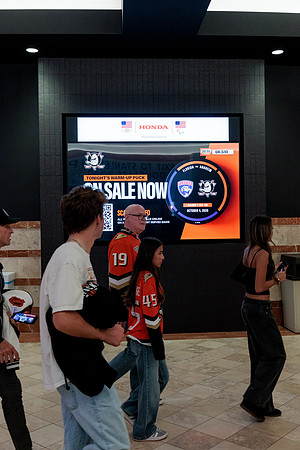 100426_ANAHEIM_DUCKS_RMR13078