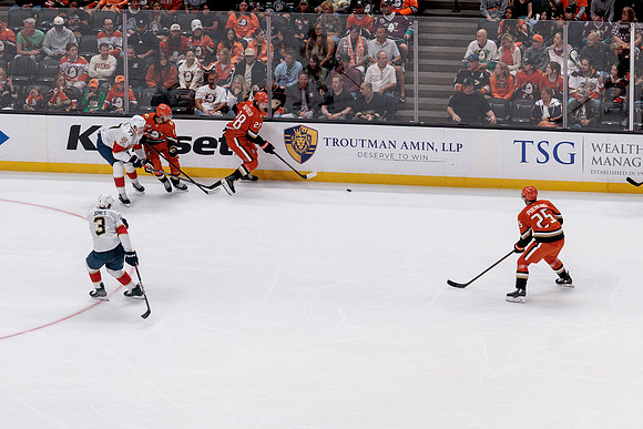100426_ANAHEIM_DUCKS_RMR12592
