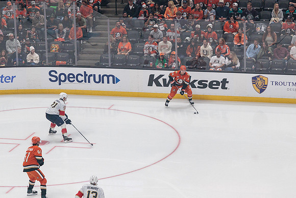 100426_ANAHEIM_DUCKS_RMR10923