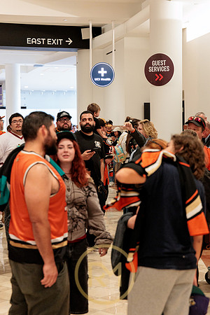 100426_ANAHEIM_DUCKS_RMR11424