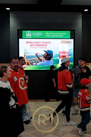 100426_ANAHEIM_DUCKS_RMR11832