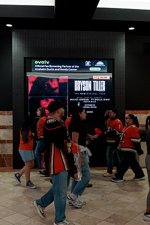 100426_ANAHEIM_DUCKS_RMR14492