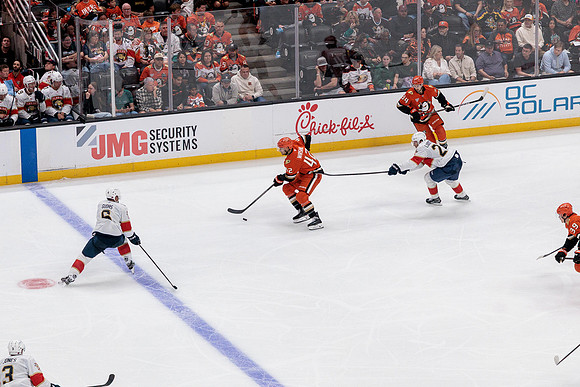 100426_ANAHEIM_DUCKS_RMR12124