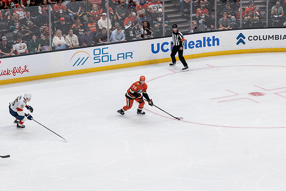 100426_ANAHEIM_DUCKS_RMR12006