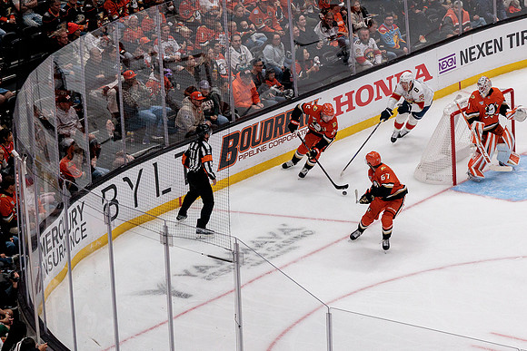 100426_ANAHEIM_DUCKS_RMR10043