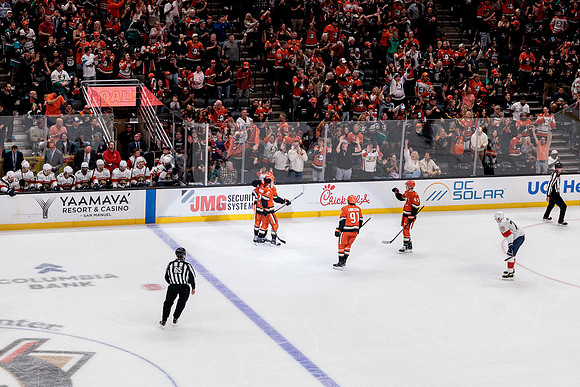 100426_ANAHEIM_DUCKS_RMR19861