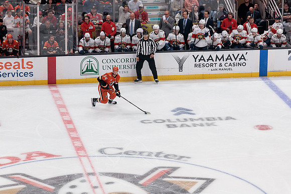 100426_ANAHEIM_DUCKS_RMR11540