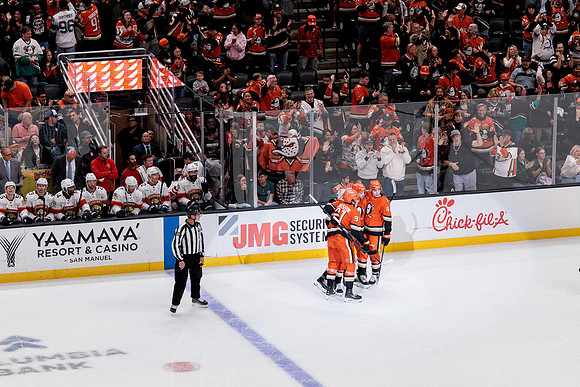 100426_ANAHEIM_DUCKS_RMR19883
