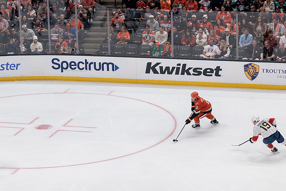 100426_ANAHEIM_DUCKS_RMR11711