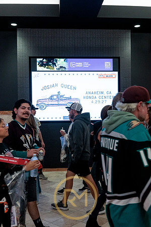 100426_ANAHEIM_DUCKS_RMR12407