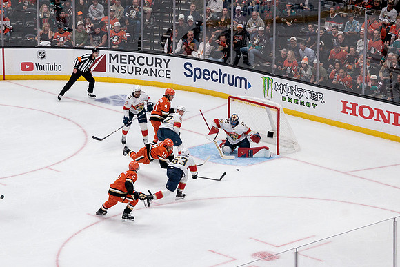 100426_ANAHEIM_DUCKS_RMR19068