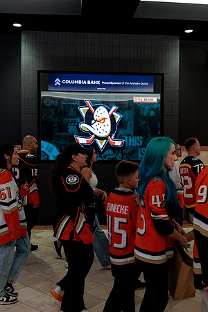 100426_ANAHEIM_DUCKS_RMR13228
