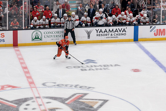 100426_ANAHEIM_DUCKS_RMR11544