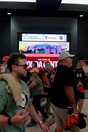 100426_ANAHEIM_DUCKS_RMR13377