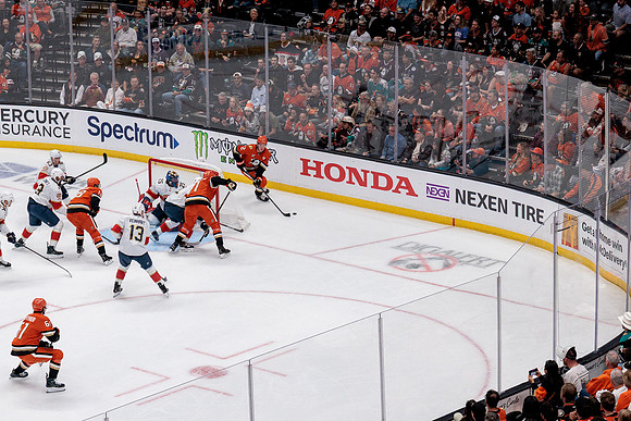 100426_ANAHEIM_DUCKS_RMR18990